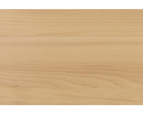 Dřevěná struktura buk