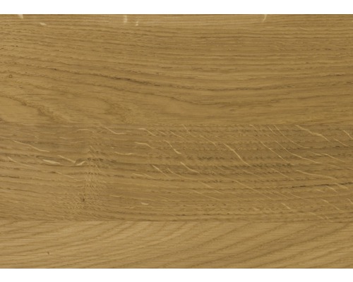 Detail struktury dubového dřeva