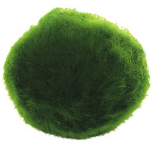 Mechová koule do akvárií