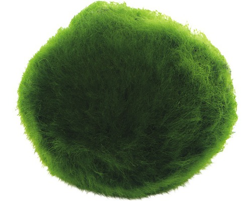 Mechová koule do akvárií