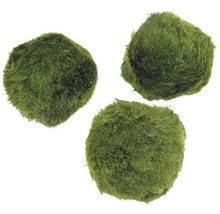 Tři zelené mechové koule do akvária