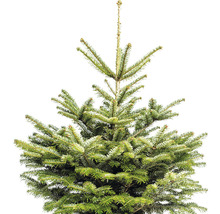 Horní část zeleného vánočního stromku