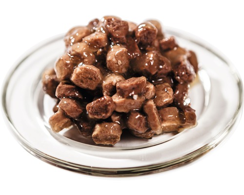 Kousky krmiva pro kočky na talíři