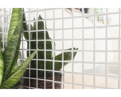 Nástěnné dlaždice se zrcadlovým vzhledem a pokojová rostlina