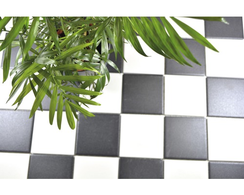 Pokojová rostlina na podlaze se šachovnicovým vzorem