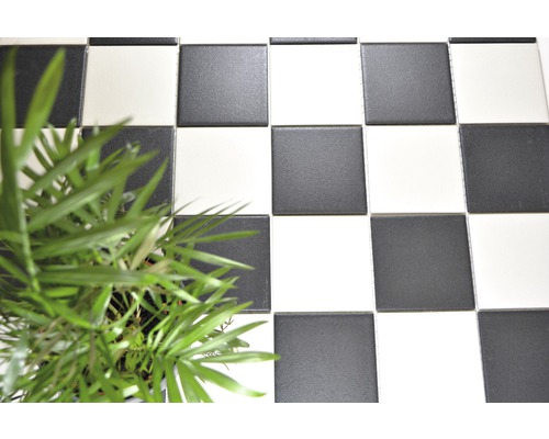 Šachovnicový vzor s podlahovými dlaždicemi a zelenou rostlinou