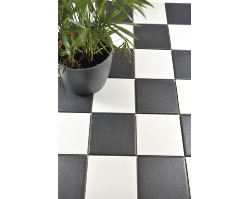 Šachovnicová podlaha s hrnkovou rostlinou