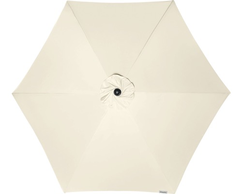 Pohled shora na krémový slunečník