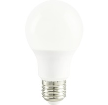 LED žárovka s paticí E27