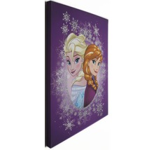 Plátno s postavami Anna a Elsa z Ledového království, obklopené sněhovými vločkami