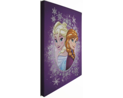 Plátno s postavami Anna a Elsa z Ledového království, obklopené sněhovými vločkami