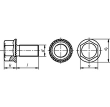 Šroub s rohatkovým límcem bez stopky M6x16 mm galvanicky pozinkovaný kalený, 50 kusů