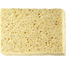 Čisticí houba
