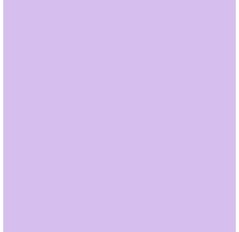 Barva Hornbach StyleColor Lavender 2,5 l