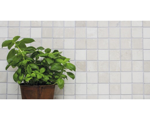 Rostlina bazalky v květináči před obkládanou stěnou