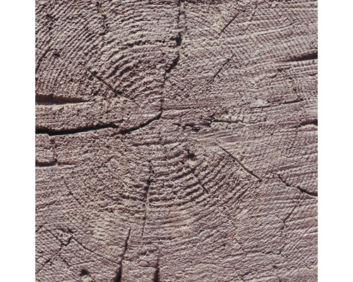 Dřevěný blok s letokruhy a prasklinami