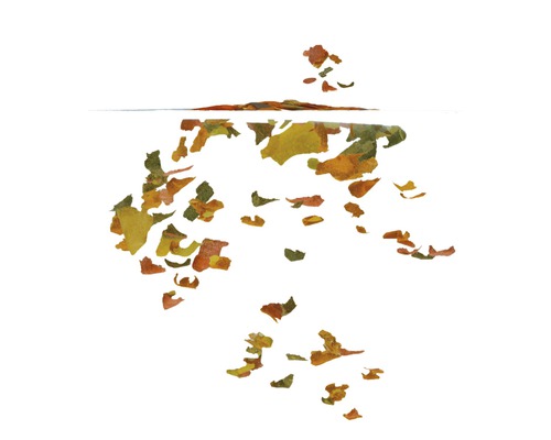 Vločky krmiva pro ryby ve vodě