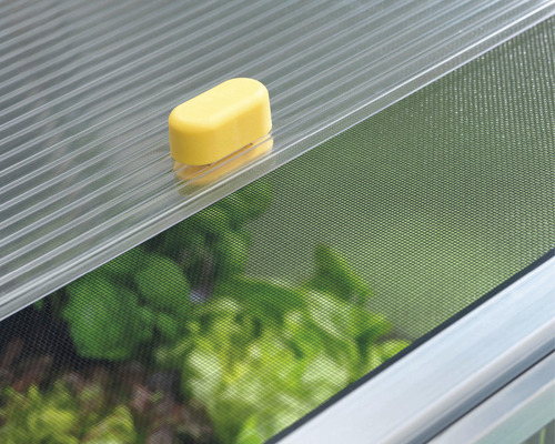 Detailní pohled na okno skleníku se sítí proti hmyzu a otvíračem oken