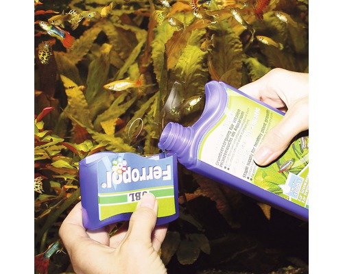 Akvárium s gupkami a přidání hnojiva pro rostliny JBL Ferropol