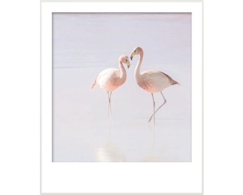 Zarámovaný obrázek dvou plameňáků