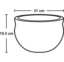 Obrázek květináče o rozměrech 31 centimetrů šířky a 19,5 centimetrů výšky.