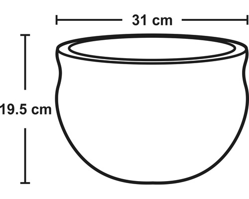 Obrázek květináče o rozměrech 31 centimetrů šířky a 19,5 centimetrů výšky.