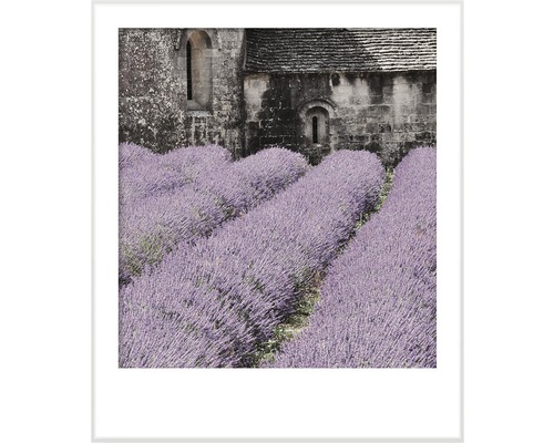 Zarámovaný obraz levandulového pole před kamennou budovou
