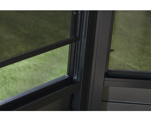 Detailní pohled na okno s moskytiérou.