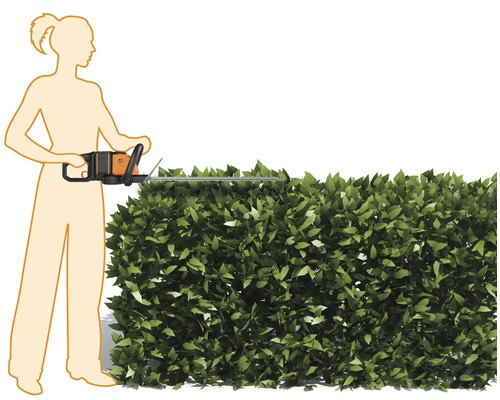 Žena stříhá živý plot pomocí nůžek na živý plot.