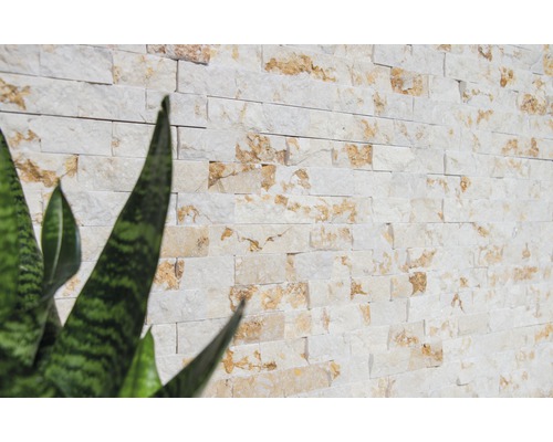 Obklad stěn z přírodního kamene s rostlinami v popředí