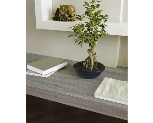 Scéna s bonsají ve váze, knihami a figurkou slona na polici