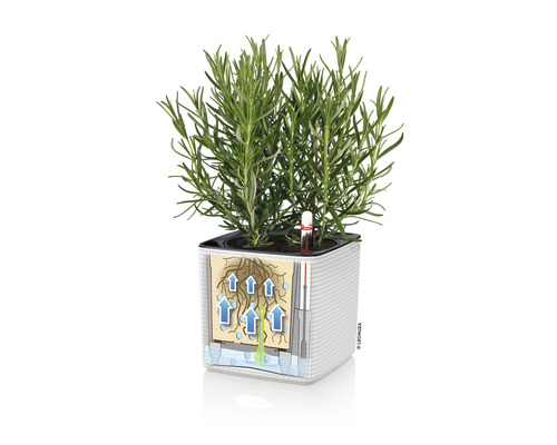 Čtvercový květináč se zavlažovacím systémem a rostlinou