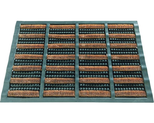 Čisticí rohožka s kartáči a nopky