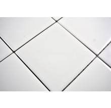 Keramická mozaika CQ 100 30x30 cm-thumb-2