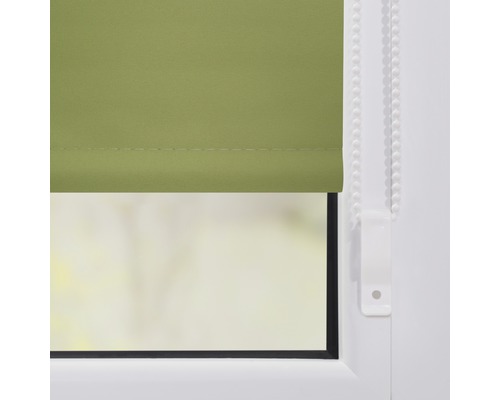 Zelené okenní rolety na okně