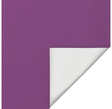 Roleta zatemňovací 45x150cm Liška