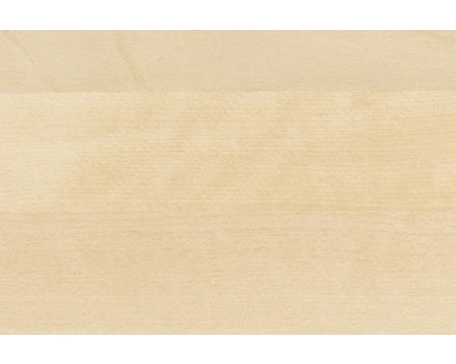 Dřevěné pozadí ze světlého bukového dřeva