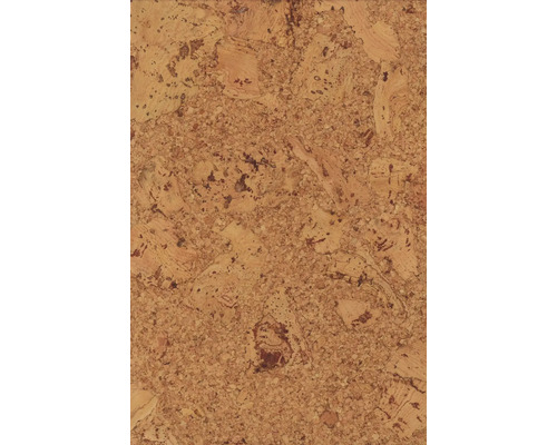 Detail korkového povrchu s přírodními vzory