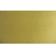 Barva StyleColor zlato 2,5 l-thumb-1