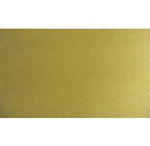 Barva StyleColor zlato 2,5 l-thumb-1 Barva StyleColor zlato 2,5 l-thumb-1