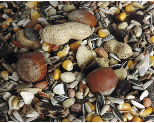 Detailní záběr krmiva pro ptáky s ořechy, semínky a kukuřicí