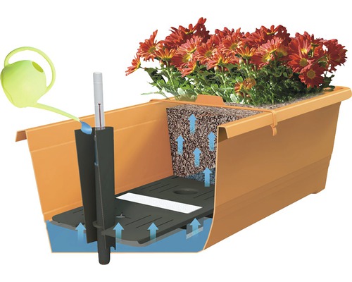 Ilustrace balkónového truhlíku se zavlažovacím systémem a květinami