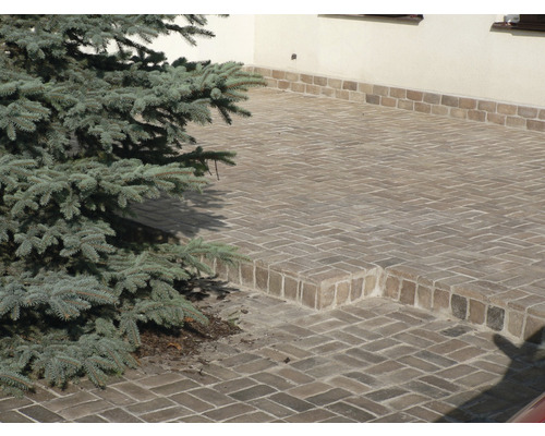 Venkovní prostor s dlažebními kostkami a stromem