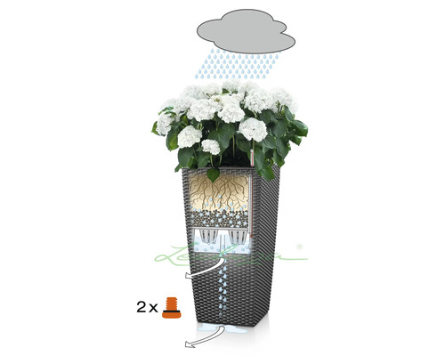 Ilustrace květináče se zavlažovacím systémem a bílými hortenziemi.