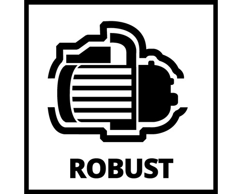 Symbol robustního motoru