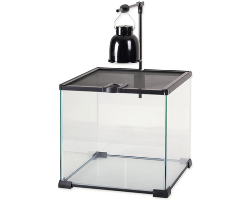 Skleněné terárium s lampou