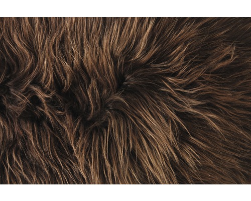 Detail koberce s dlouhými vlákny