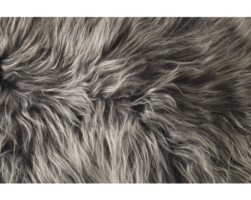 Detailní záběr koberce s dlouhým vlasem