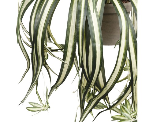 Detailní záběr umělé zelené lilie s pruhovanými listy v květináči