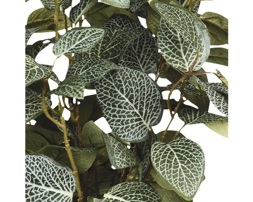 Detailní záběr umělé rostliny se vzorovanými listy